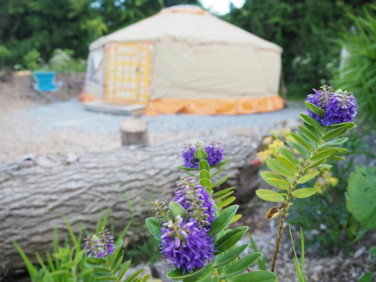 Hotel Inch Hideaway Eco Camping Whitegate  Zewnętrze zdjęcie